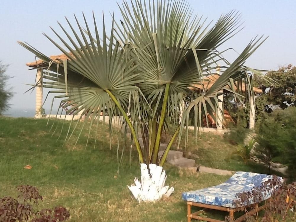 tanji bird reserve eco lodge adults only