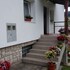 guesthouse bor