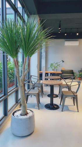 dongshan river left bank bandb