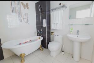 welcome the sun enjoy the moon