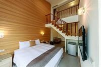 sasa nor lamour b and b