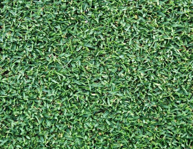 hotel royal amsterdam