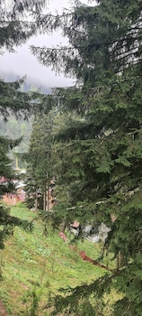 ayder doga resort