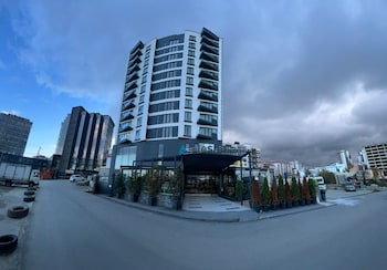 alesha suite