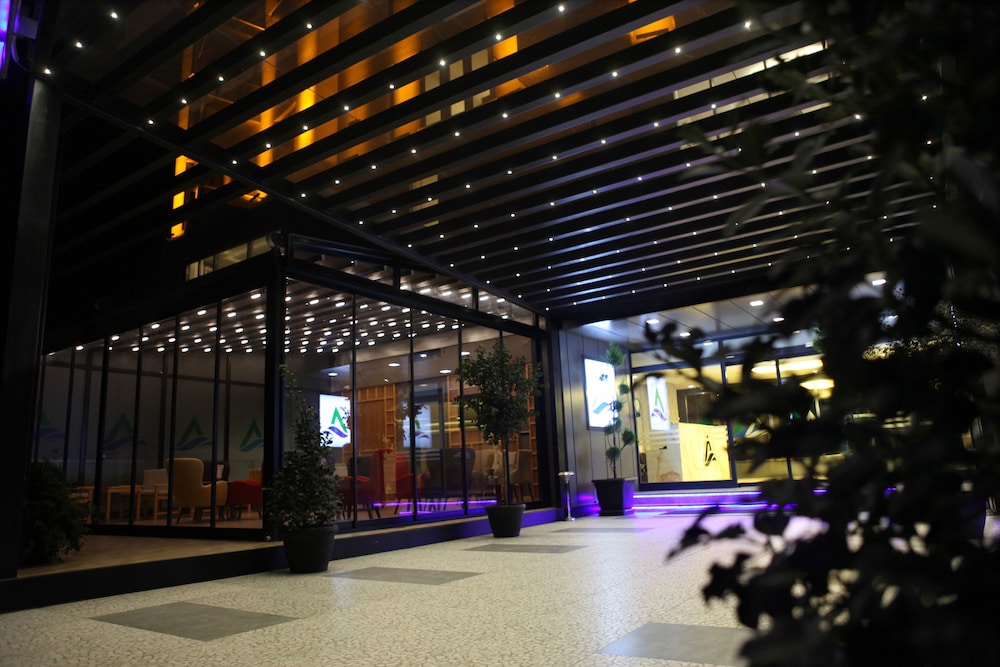 alesha suite