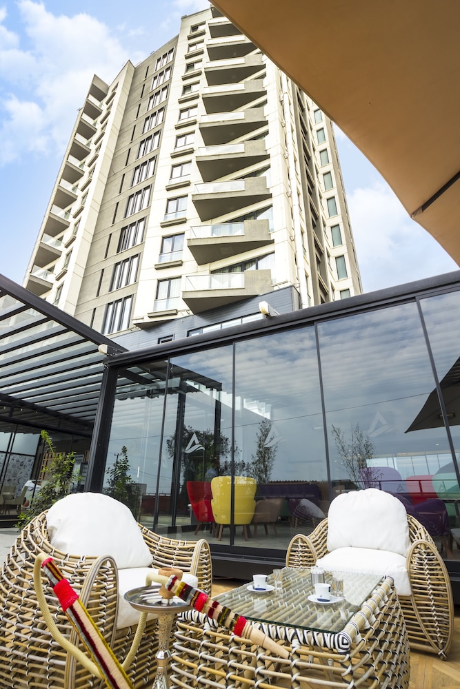 alesha suite