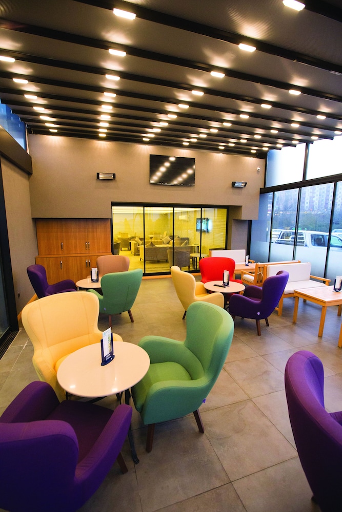alesha suite