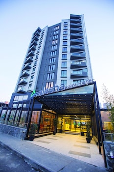 alesha suite