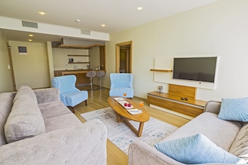 alesha suite