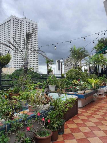 stone house hotel quezon city