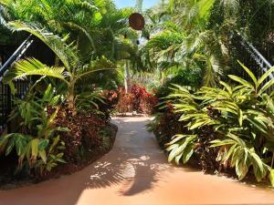 Hotel Sol,Near Suncoast Seabird Sanctuary,3 star