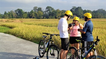 the calmtree bungalows