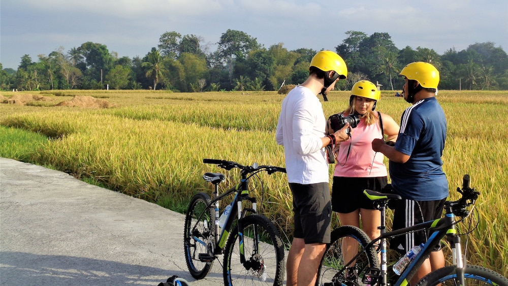 the calmtree bungalows