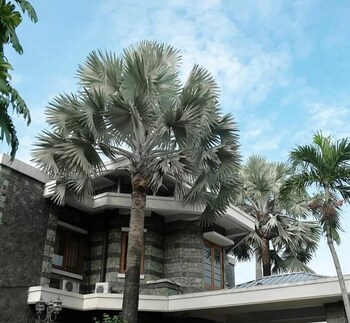 arimbi pejaten suites