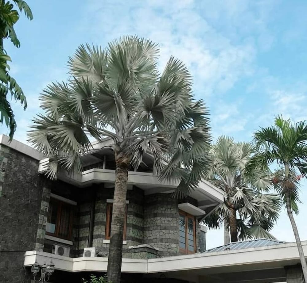 arimbi pejaten suites