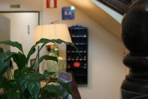 alberg roques blanques