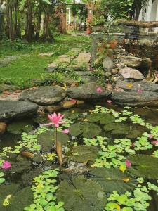 beautiful ilan resort