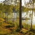 ruokolahti