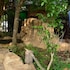 jabula lodge