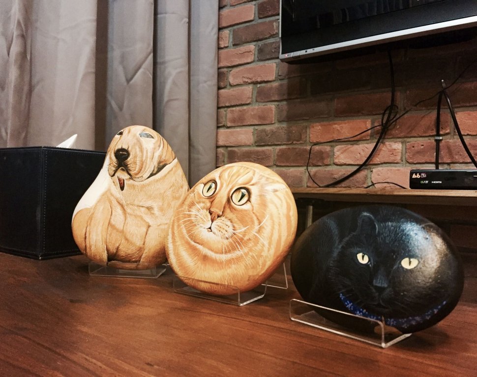 Bear Hotel,New Taipei>>Luzhou,3 star