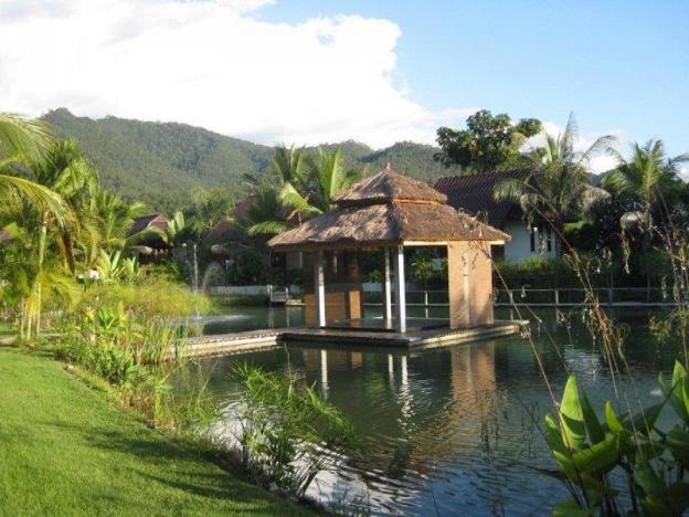 pairadise guesthouse