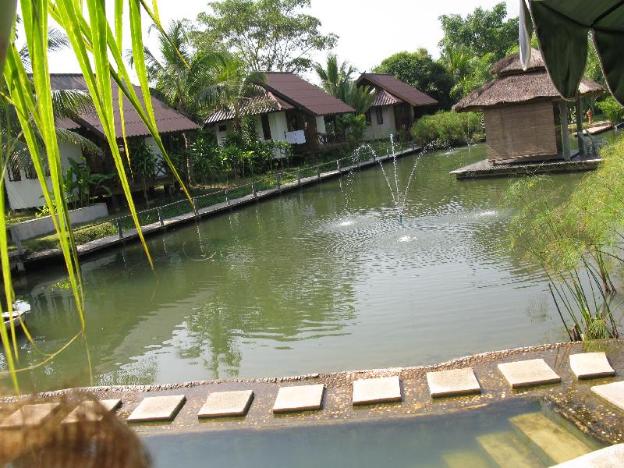 pairadise guesthouse