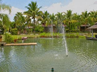 pairadise guesthouse