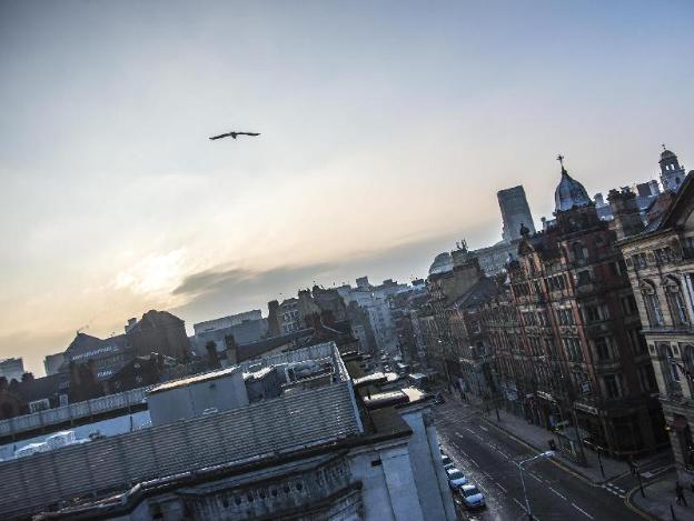 base serviced apartments sir thomas street