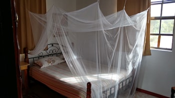 mainroad suite