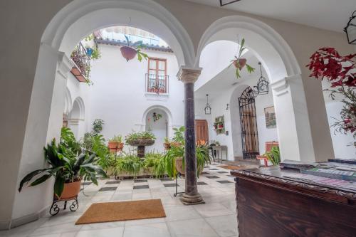 cordoba