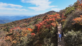 Mona Yongpyong,Daegwallyeong>>Pyeongchang,4 star