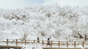 Mona Yongpyong,Daegwallyeong>>Pyeongchang,4 star