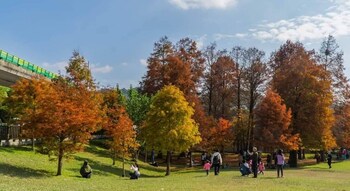 may rooms taipei nangang station