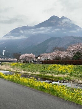 yufuin ryoan wazanhou