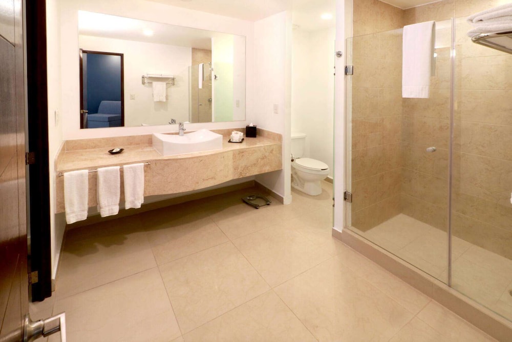 wyndham garden guadalajara acueducto