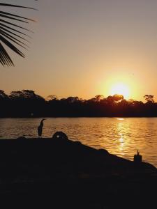 chinitas eco lodge