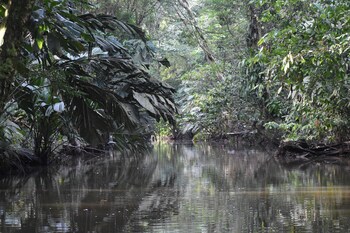 chinitas eco lodge