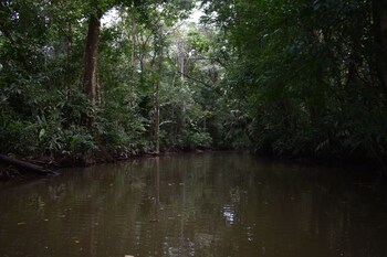 chinitas eco lodge