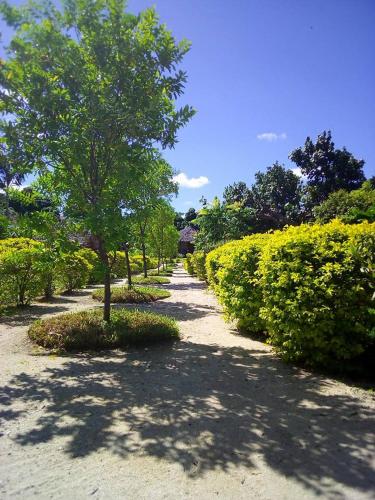 alofa beach bungalows