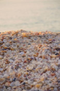 casey key resorts beachfront