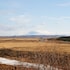 selfoss