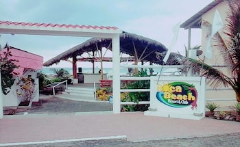 crucita