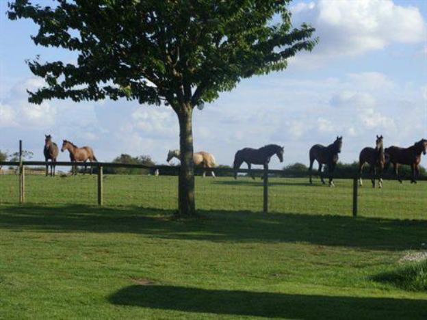 skipbridge farm cottages