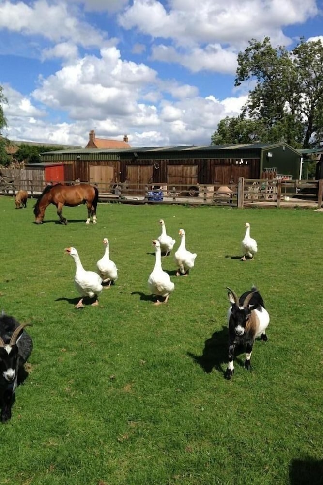 skipbridge farm cottages