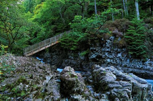 oakfield house bed and breakfast