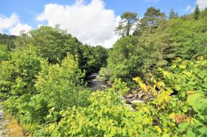 oakfield house bed and breakfast