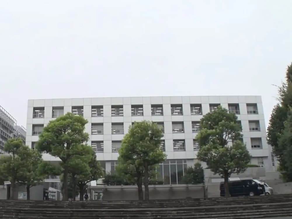 toyoko inn wako shi ekimae