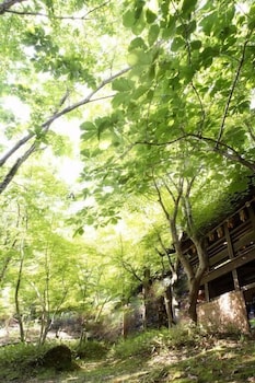 kurokawa onsen yumerindo