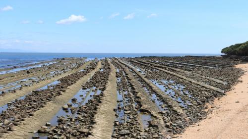 toyoko inn miyazaki ekimae
