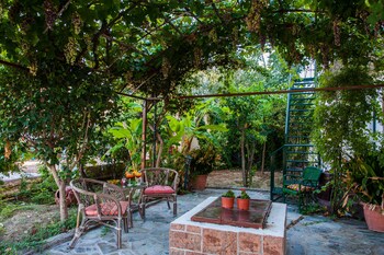 zante nest studios and apartments